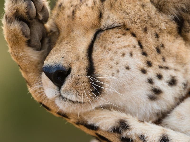 Community Vision Optometric Center