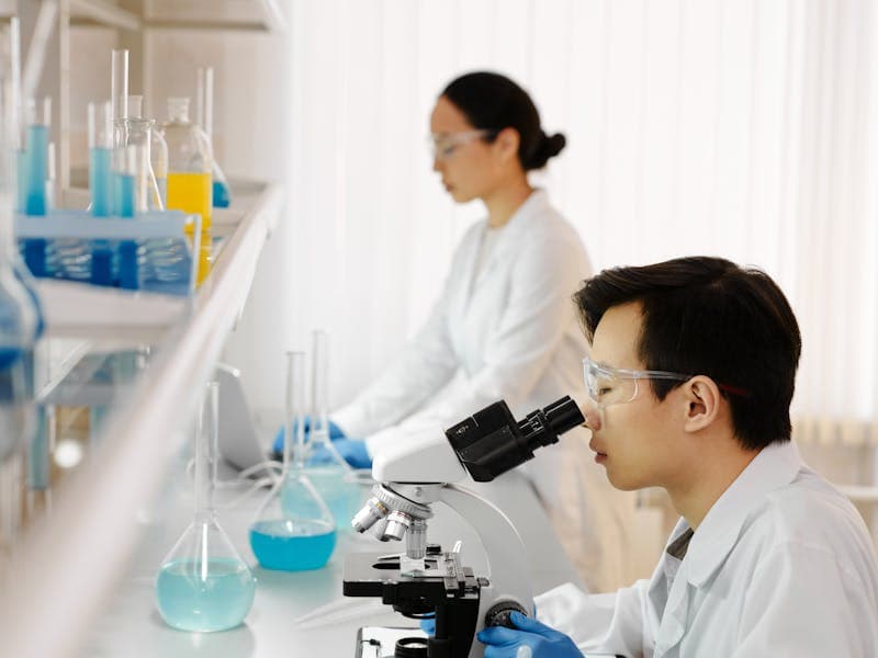 Santiago's Fruit Stand